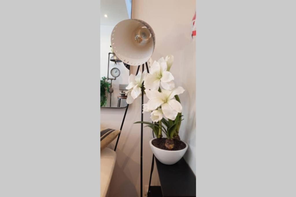 Magnifique En Rdc Cour Sans Vis A Vis 5mn Apartment *