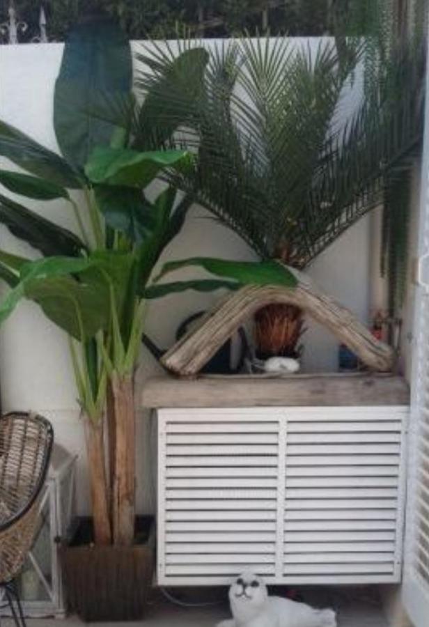 Apartment Magnifique En Rdc Cour Sans Vis A Vis 5mn